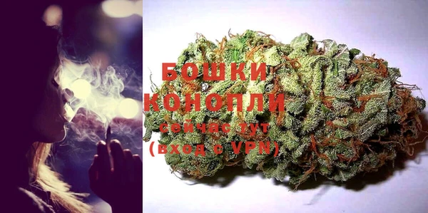 твердый Тайга