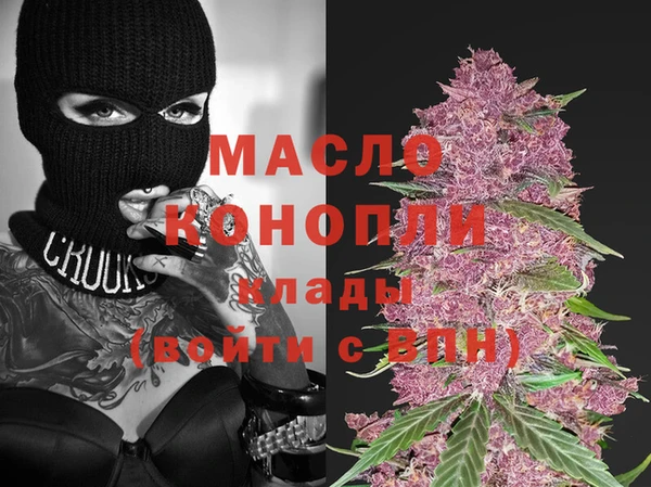 мдпв Кадников