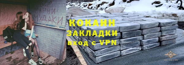 твердый Тайга