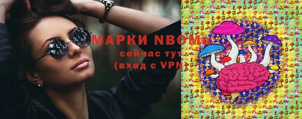 твердый Тайга